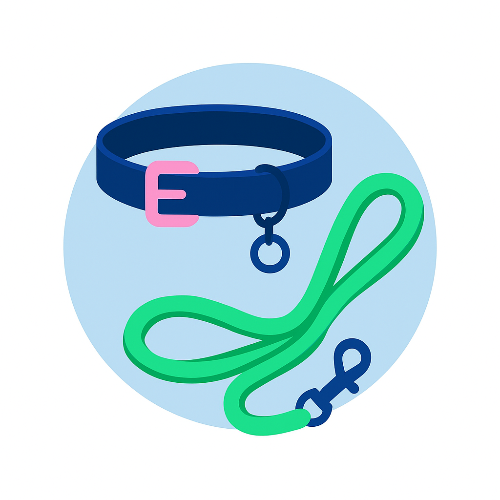 Pet Accessories Online – Bowls, Collars, Beds & Pet Essentials