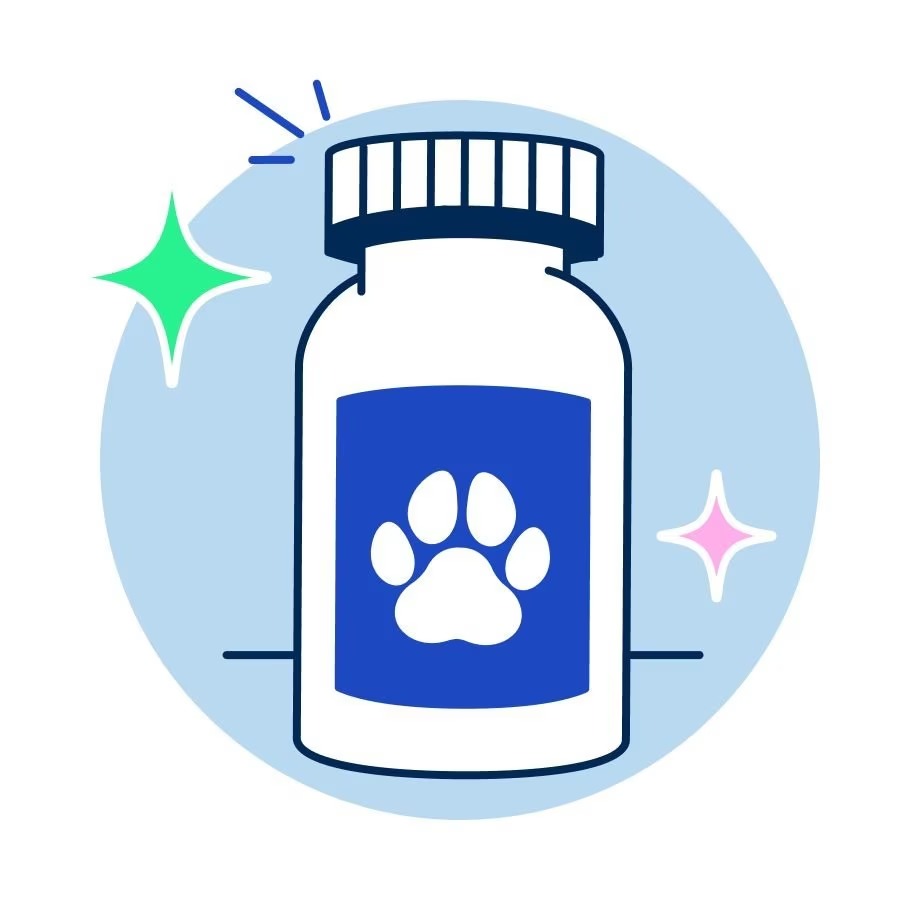 Pet Healthcare Products Online – Supplements, Treatments & Wellness Care