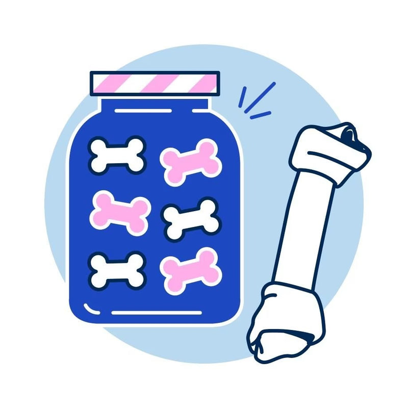 Pet Treats Online – Healthy Dog & Cat Treats for Training & Rewards