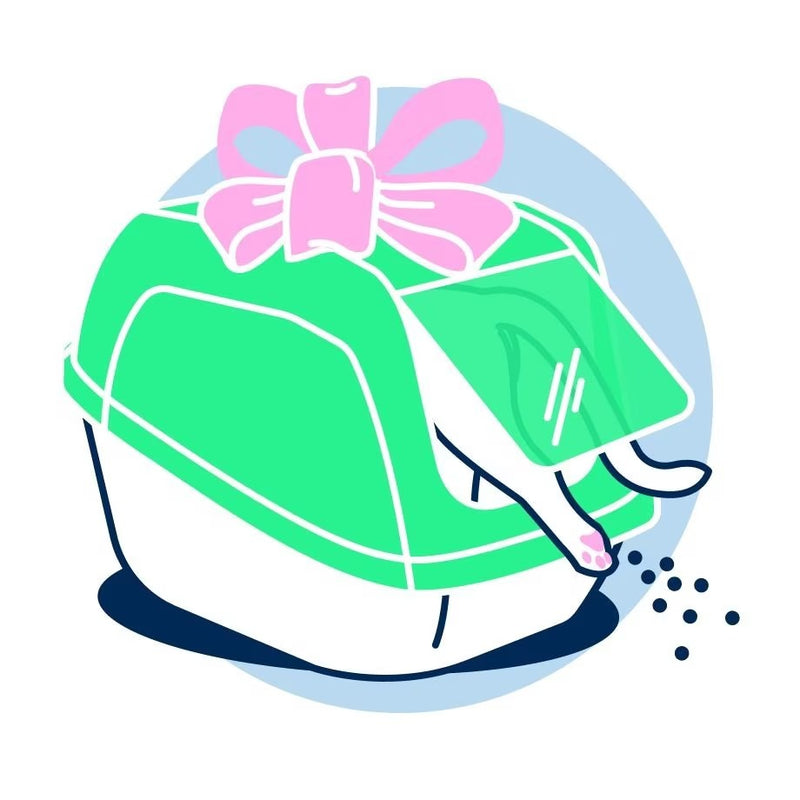 Cat Litter Online – Clumping, Bentonite & Odor Control Cat Litter