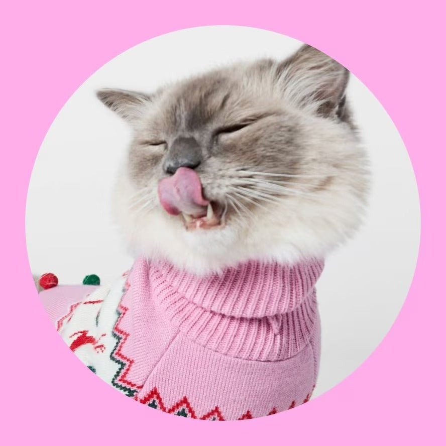 Cat Products Online – Cat Food, Litter, Accessories & Supplies