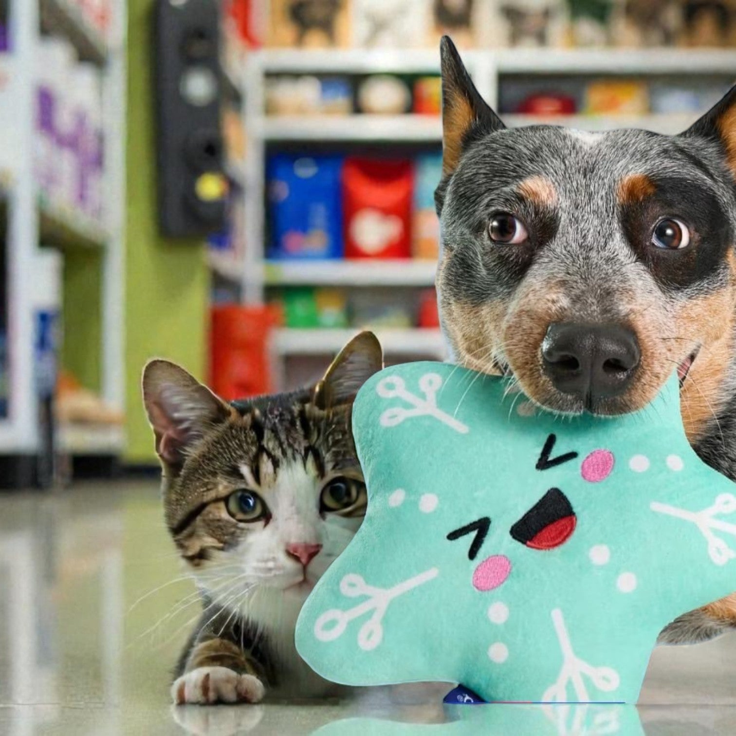 Best Selling Pet Products Online – Top Rated & Most Popular Items