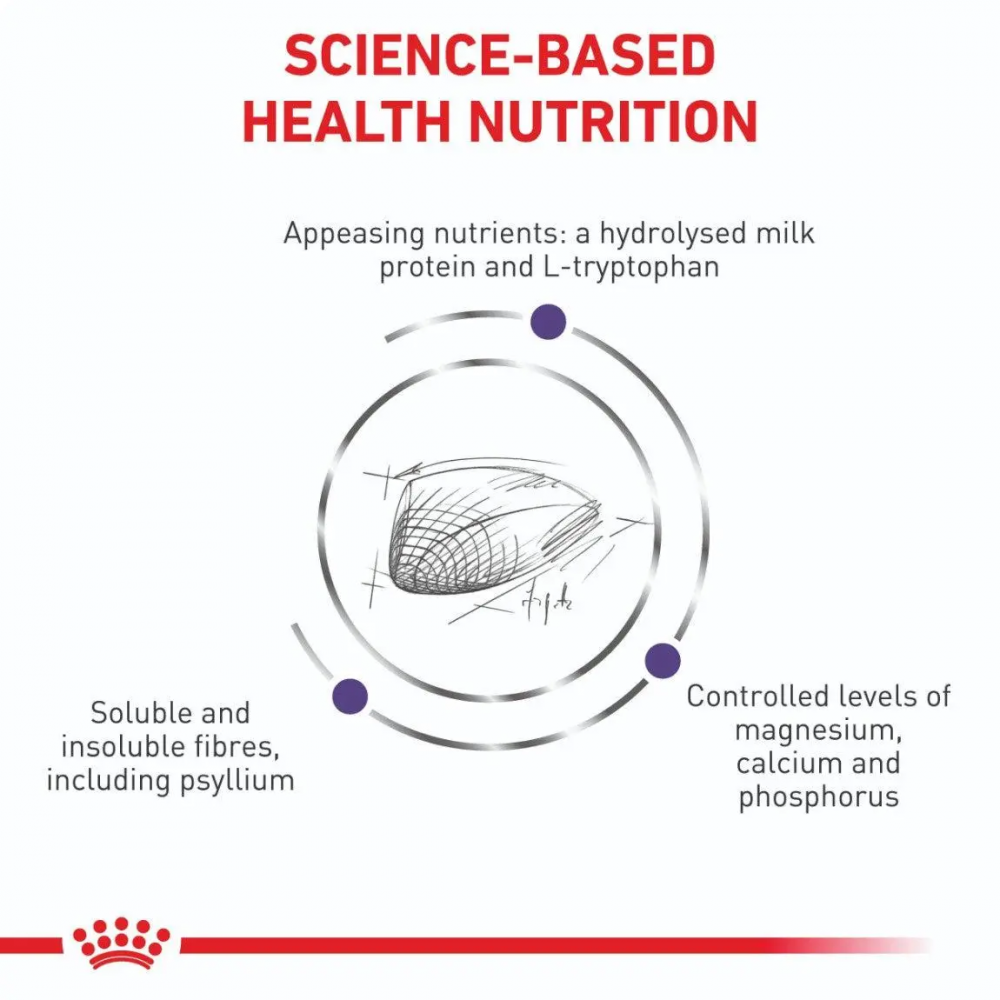 Royal Canin Expert Calm Dry Cat Food 2kg | Pets Grocery Store