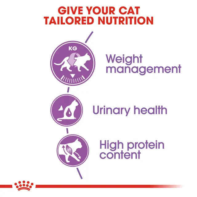 Royal Canin Sterilised Adult Cat Food 2kg | Pets Grocery Store