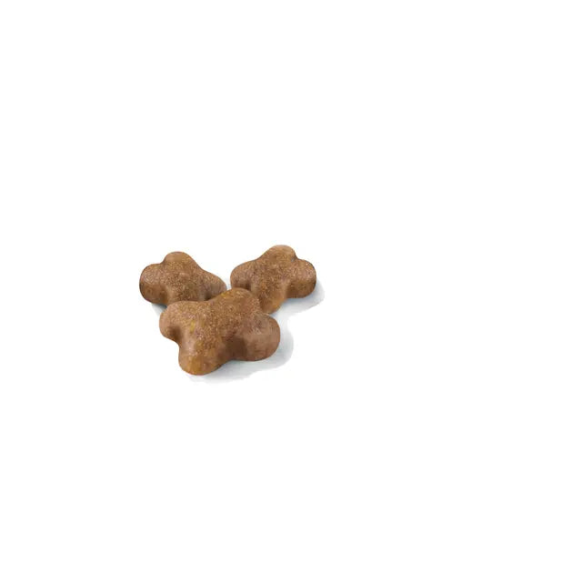 Royal Canin Kitten Dry Cat Food for Growing Kittens