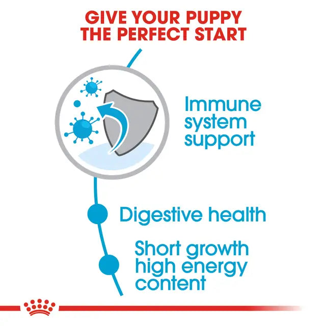 Royal Canin Medium Puppy Dog Food 4kg | Pets Grocery Store