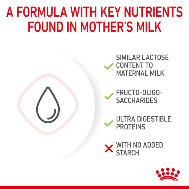 Royal Canin Babycat Milk