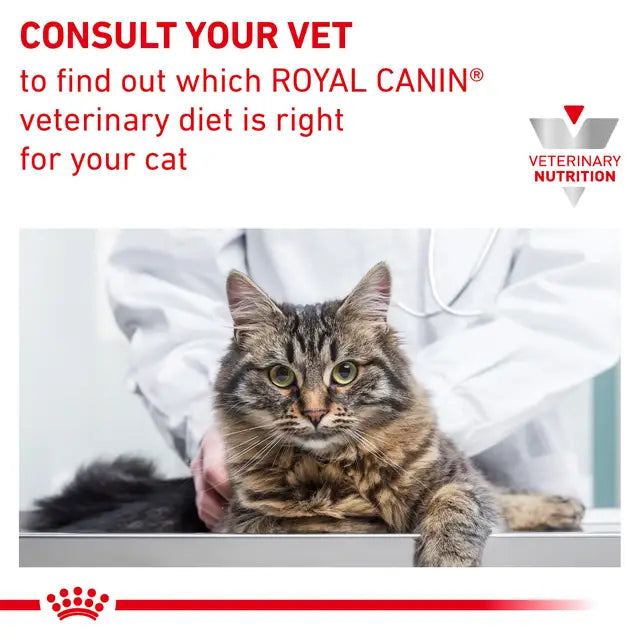 Gastrointestinal Adult Dry Cat Food for Sensitive Digestion