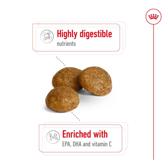 Royal Canin X-Small Adult Dry Dog Food