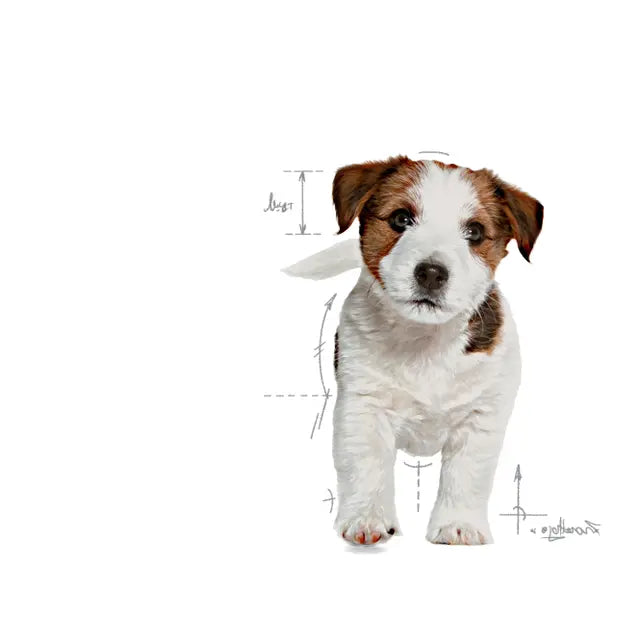 Royal Canin Mini Puppy Dry Dog Food for Small Breed Puppies