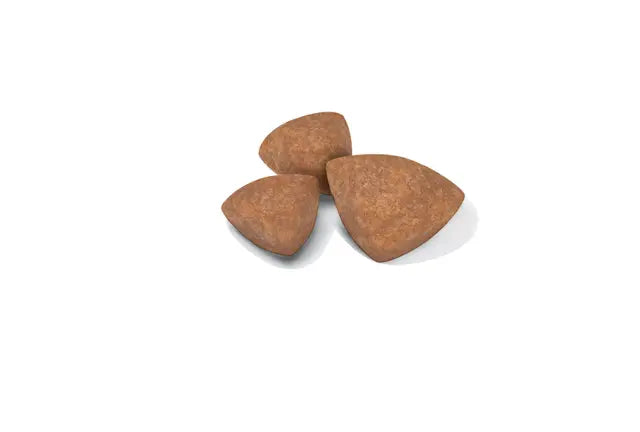Royal Canin X-Small Puppy Dry Dog Food