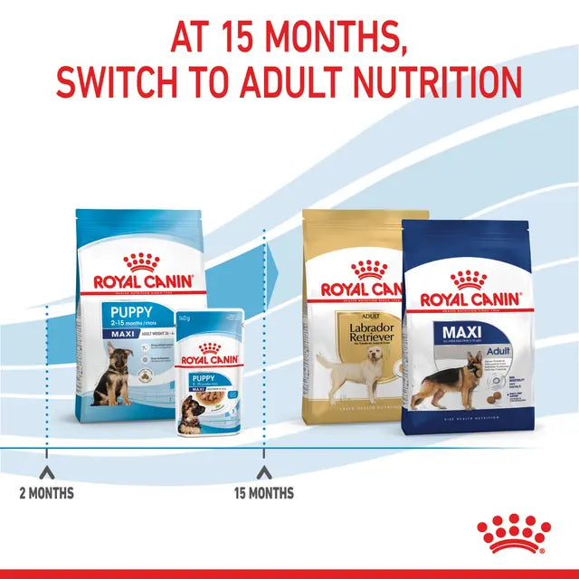 Royal Canin Maxi Puppy Dry Dog Food for Large Breed Puppies