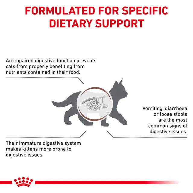 Gastrointestinal Adult Dry Cat Food for Sensitive Digestion