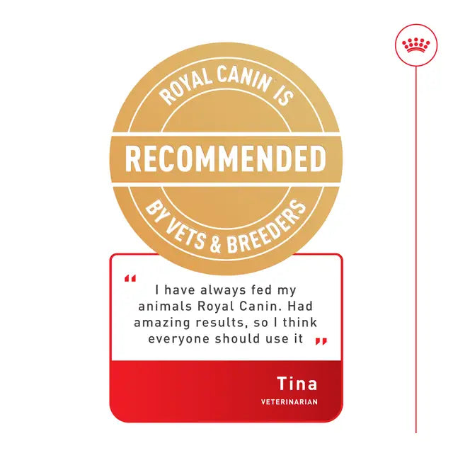 Royal Canin Regular Fit 32 Dry Cat Food for Adult Cats