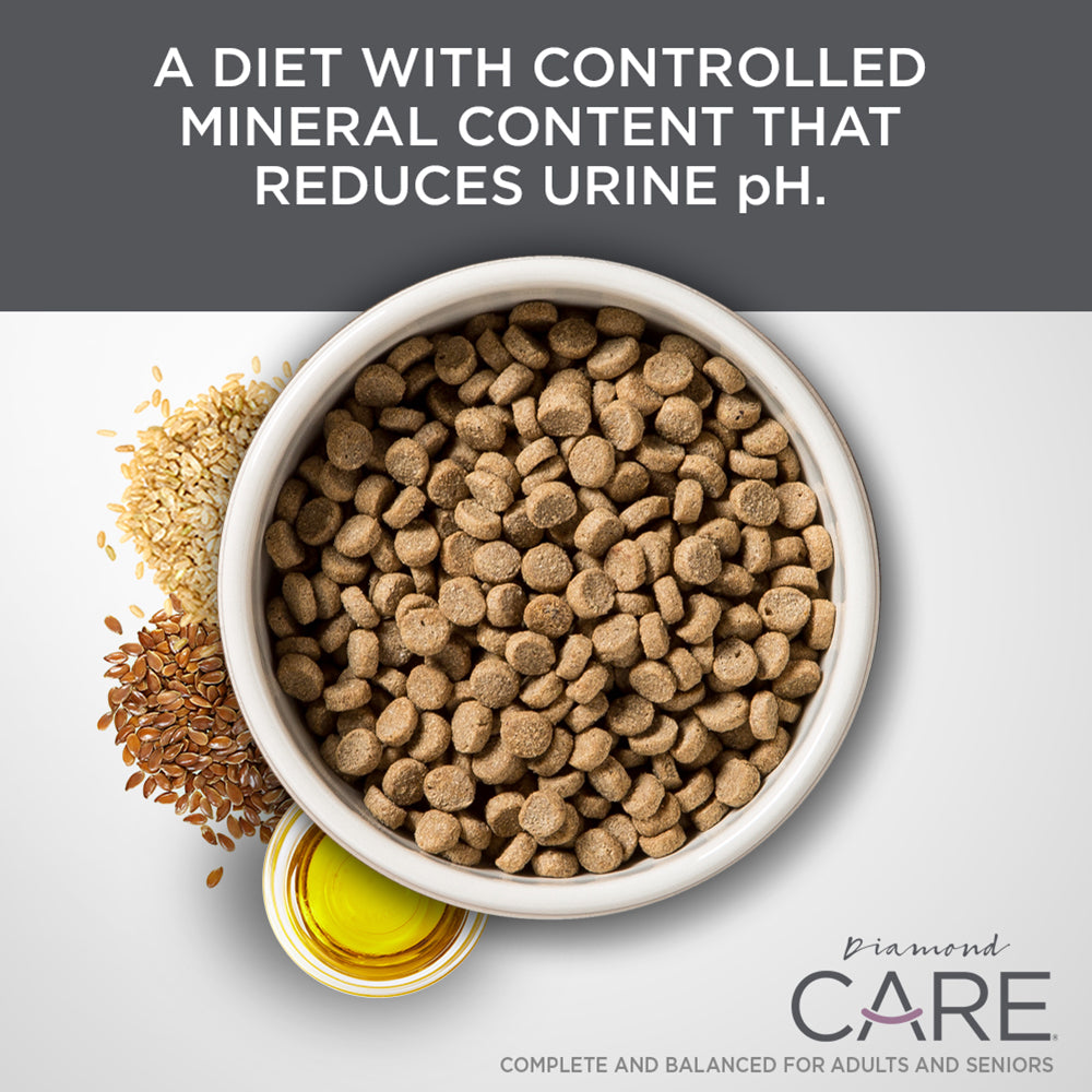 Diamond CARE Urinary Support Formula for Adult Cats 2.72kg Dry Cat Food