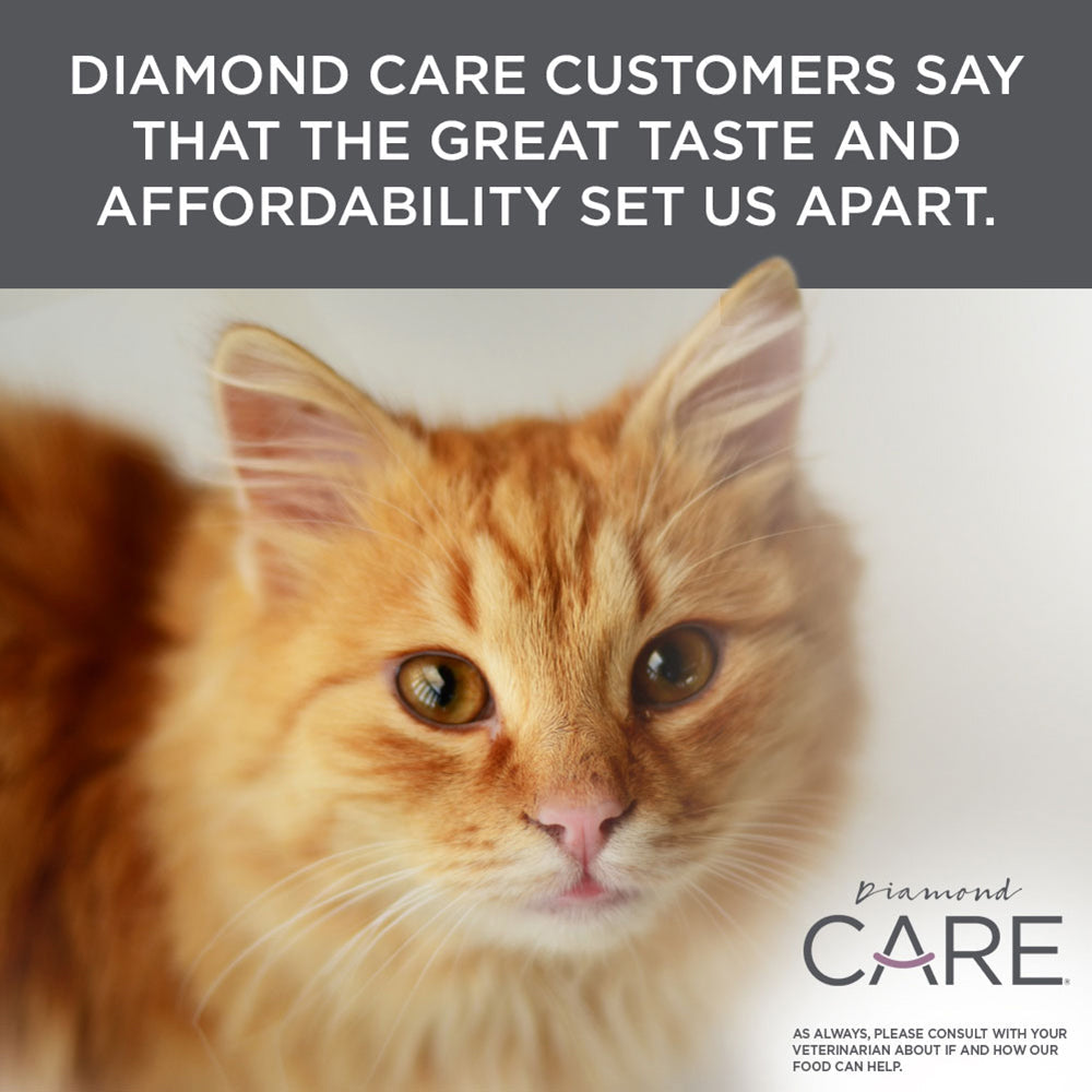 Diamond CARE Urinary Support Formula for Adult Cats
