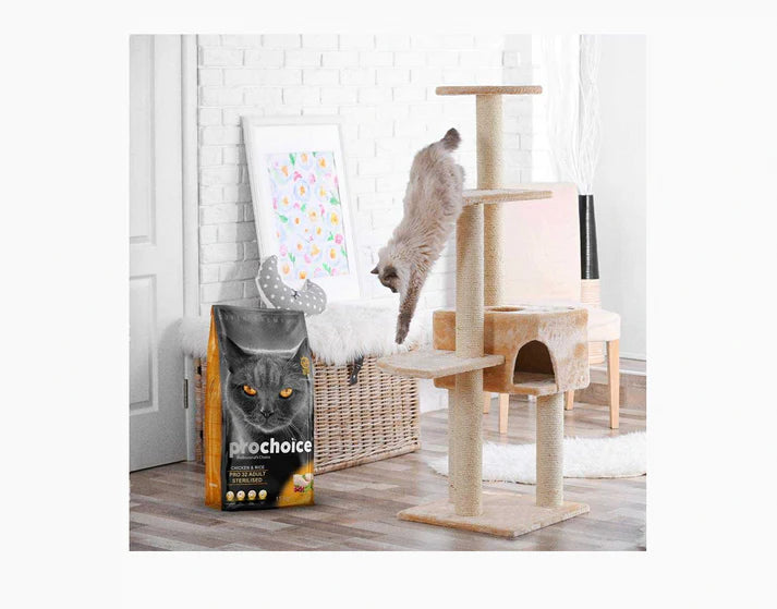 Prochoice Pro32 Chicken and Rice Adult Cat Dry Food