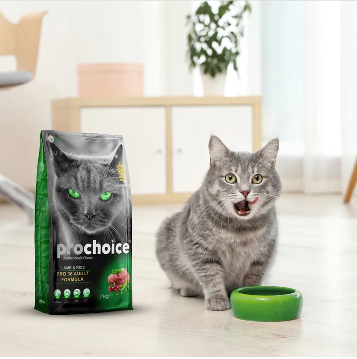 Prochoice Pro36 Lamb and Rice Adult Cat Dry Food