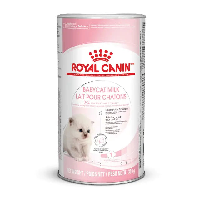 Royal Canin Babycat Milk Complete Milk Replacer for Kittens