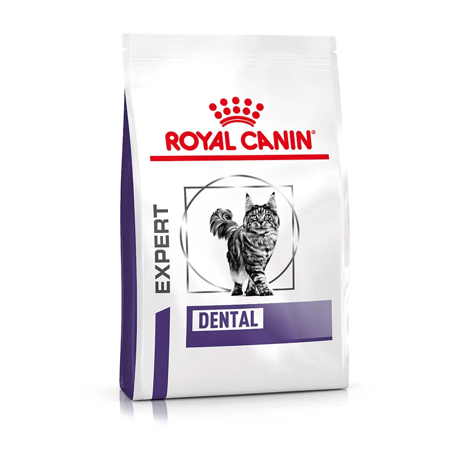 Royal Canin Expert Dental Adult Dry Cat Food for Oral Health