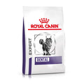 Royal Canin Expert Dental Adult Dry Cat Food for Oral Health