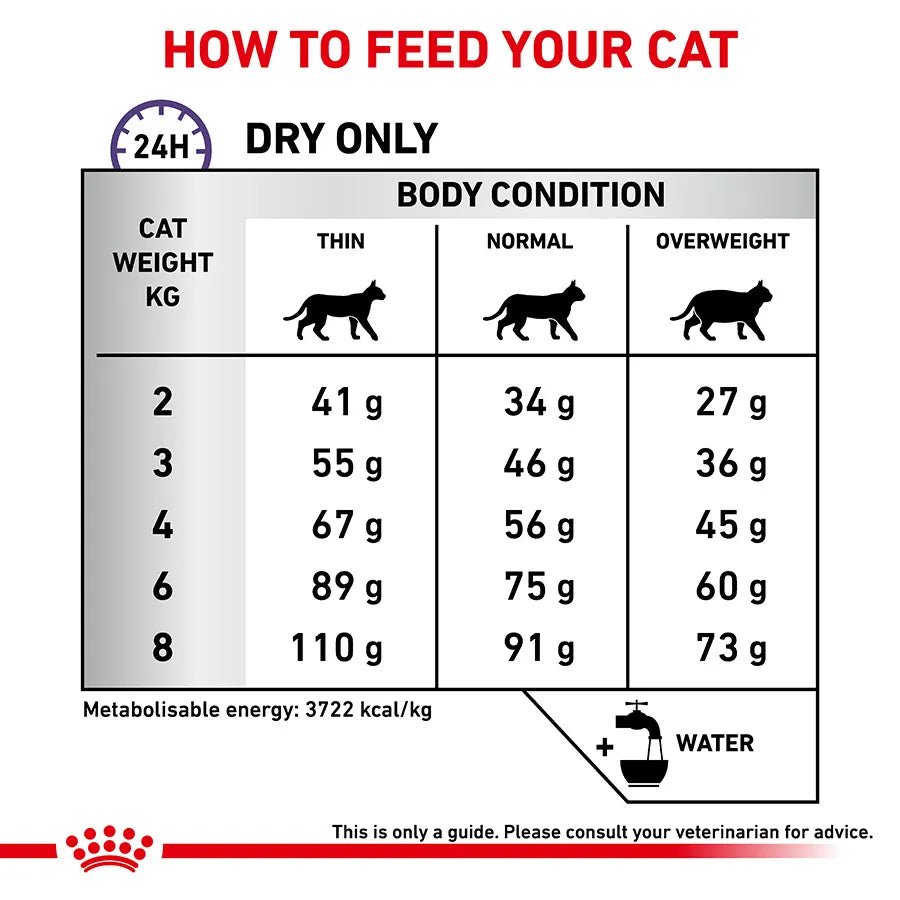 Royal Canin Expert Dental Adult Dry Cat Food for Oral Health