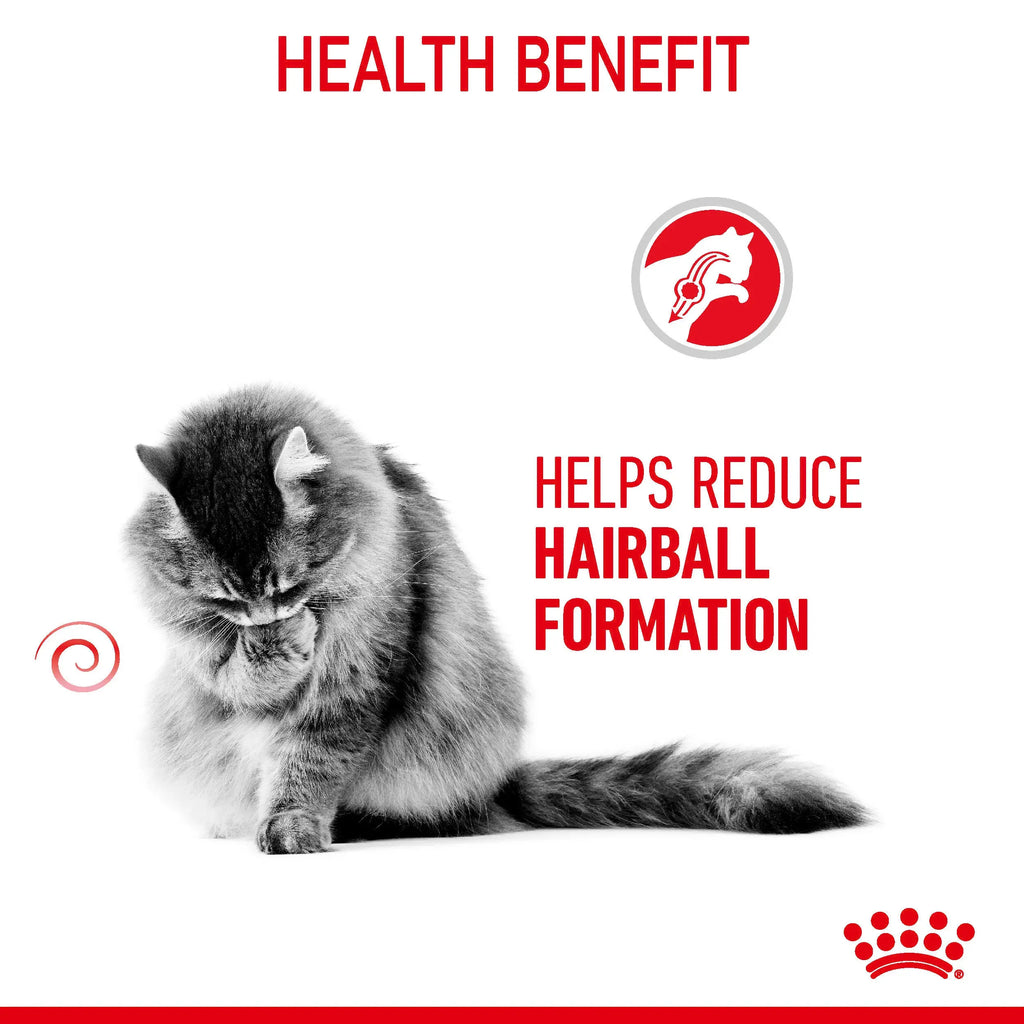 Royal Canin Hairball Control Cat Food for Hairball Reduction