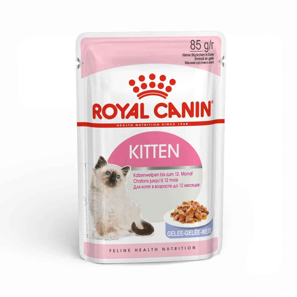 Royal Canin Kitten Jelly Wet Food for Healthy Growth