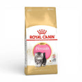 Royal Canin Persian Kitten Dry Cat Food for Persian Kittens