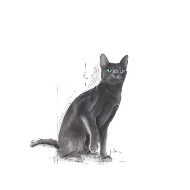 Royal Canin Sterilised Adult Dry Cat Food