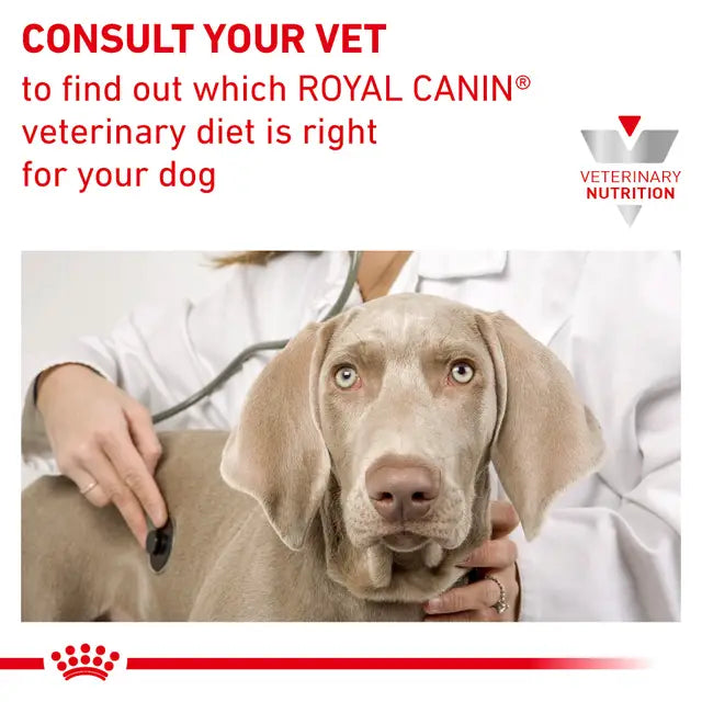 Royal Canin Veterinary Hypoallergenic Dry Dog Food