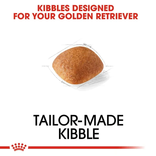 Royal Canin Golden Retriever Adult Dog Food 12kg | Pets Grocery Store