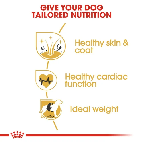 Royal Canin Golden Retriever Adult Dry Dog Food