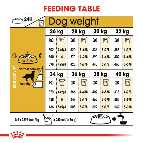 Royal Canin Golden Retriever Adult Dry Dog Food
