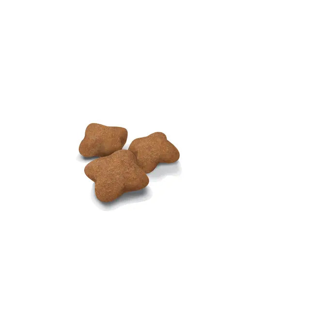 Royal Canin Sterilised Kitten Dry Cat Food
