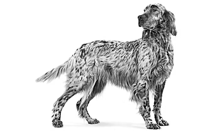 Royal Canin Veterinary Urinary S/O Dry Dog Food