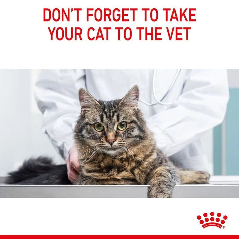 Royal Canin Digestive Care Cat Food