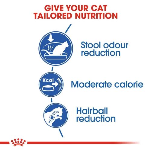 Royal Canin Indoor Dry Cat Food for Indoor Adult Cats