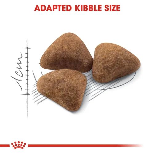 Royal Canin Indoor Dry Cat Food for Indoor Adult Cats