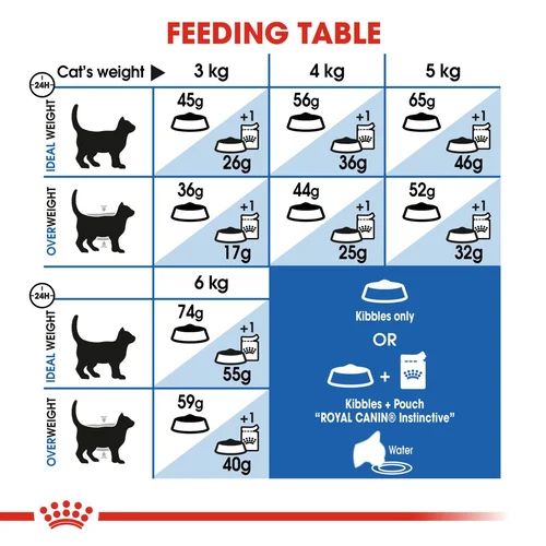 Royal Canin Indoor Dry Cat Food