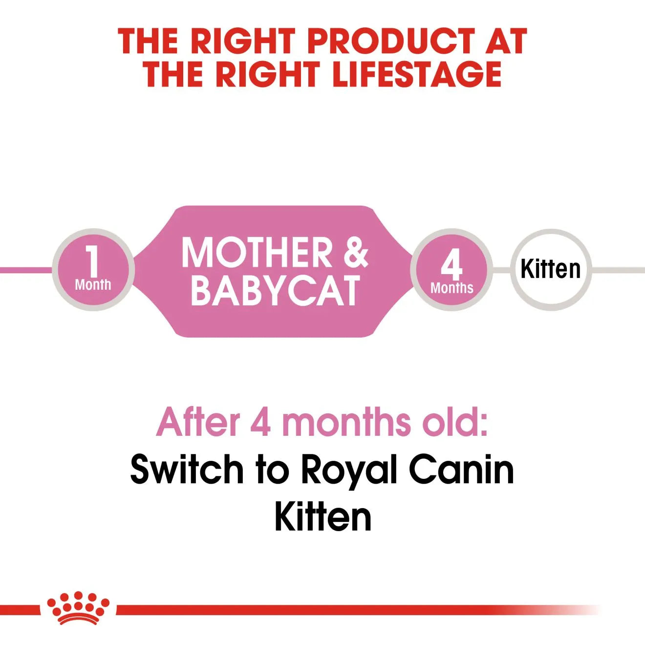 Royal Canin Mother & Babycat Dry Cat Food | Pets Grocery Store