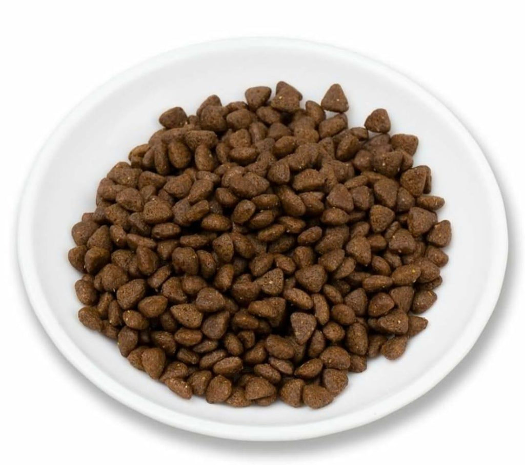 Nourvet Natural Chicken & Rice Dry Food for Cats and Kittens
