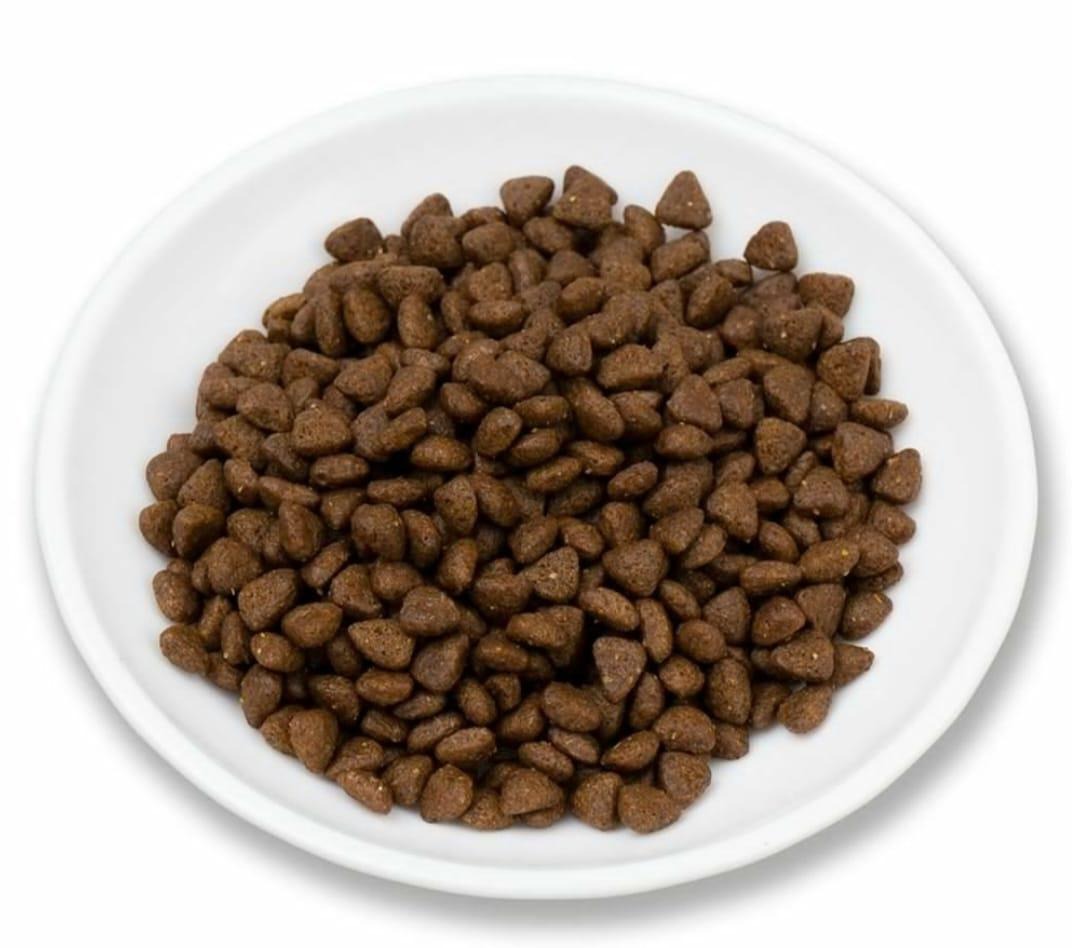 Nourvet Natural Chicken & Rice Dry Food for Cats and Kittens