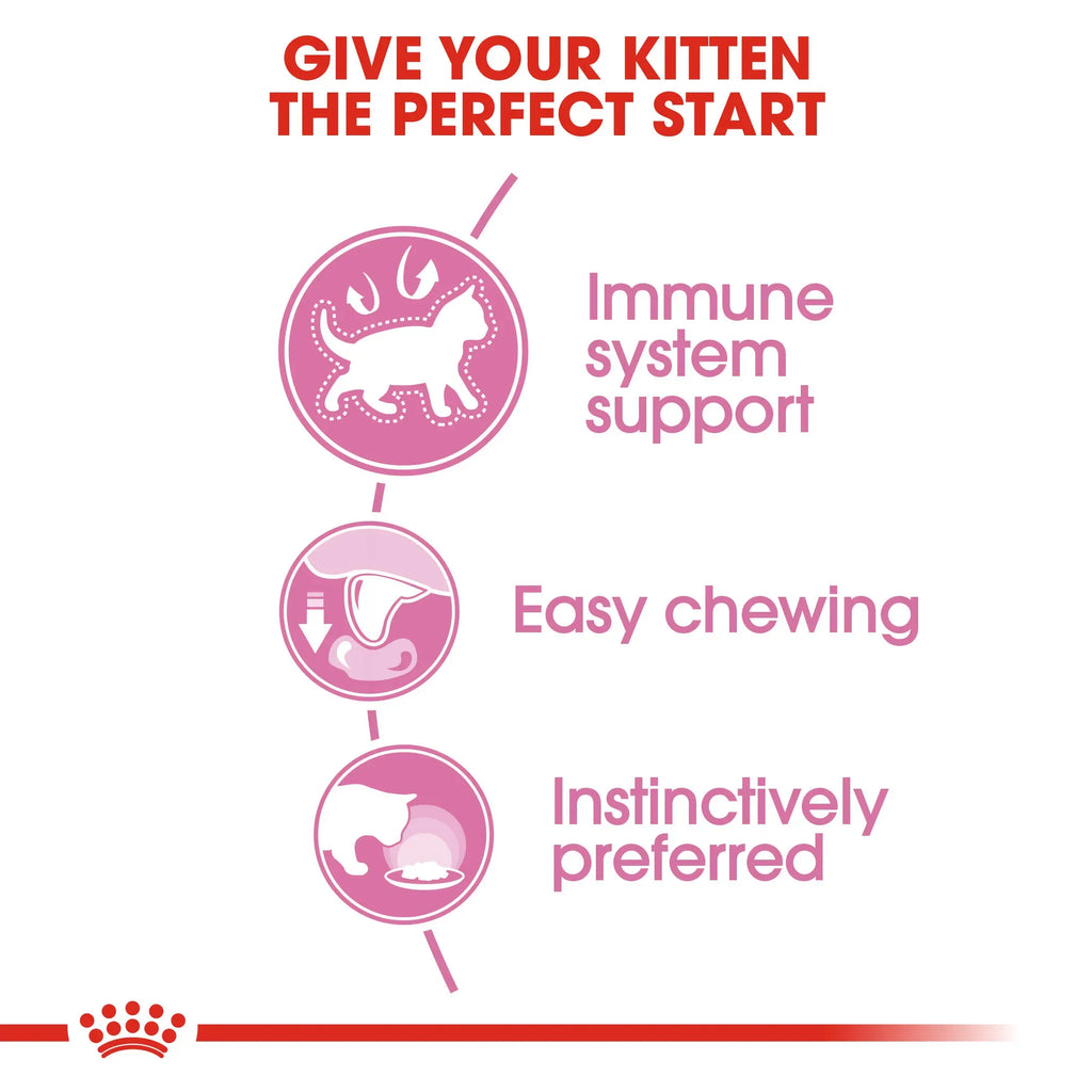 Royal Canin Kitten Jelly Wet Food