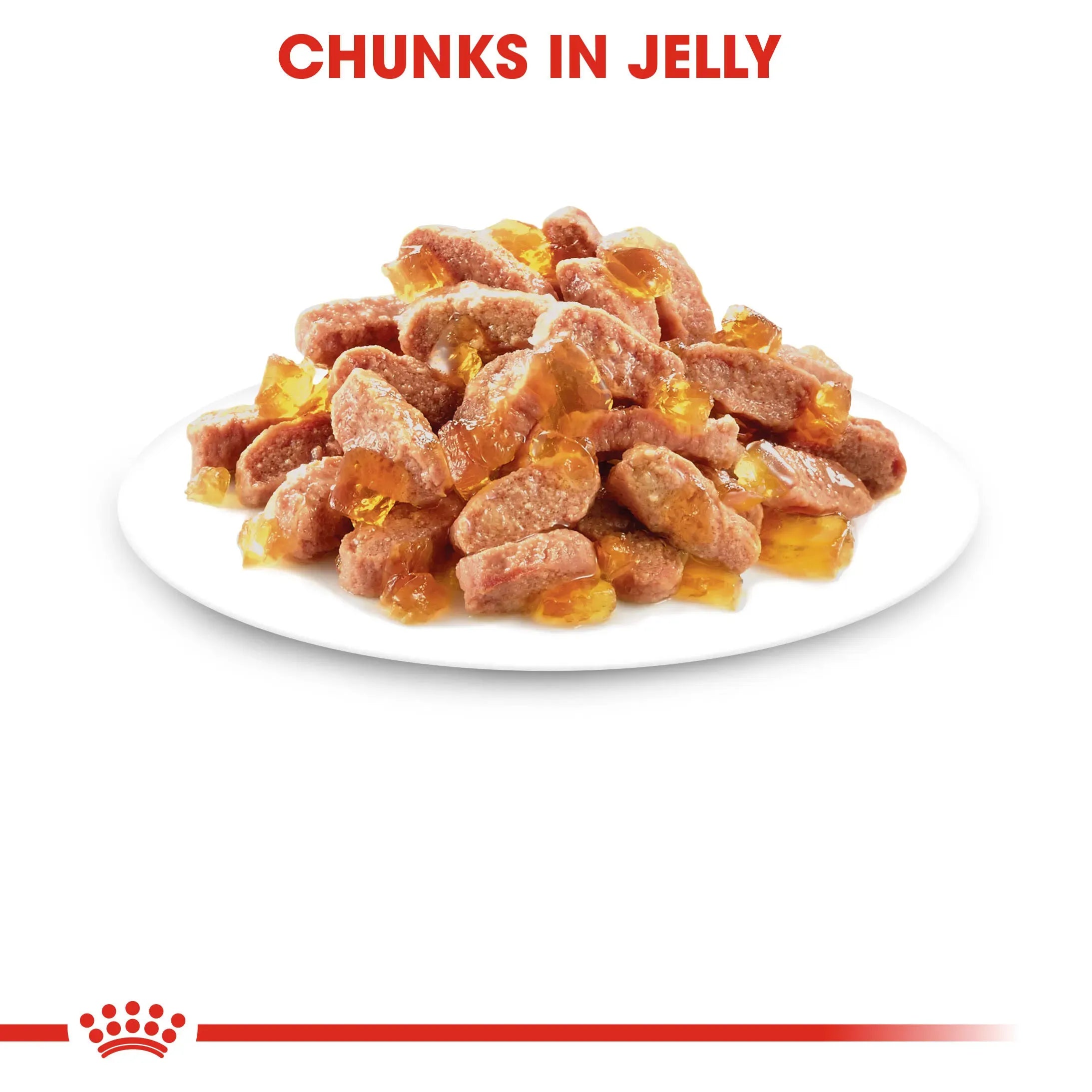 Royal Canin Kitten Jelly Wet Food for Healthy Growth