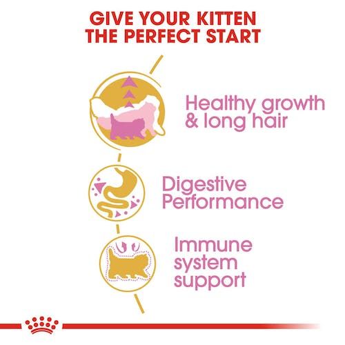 Royal Canin Persian Kitten Dry Cat Food for Persian Kittens