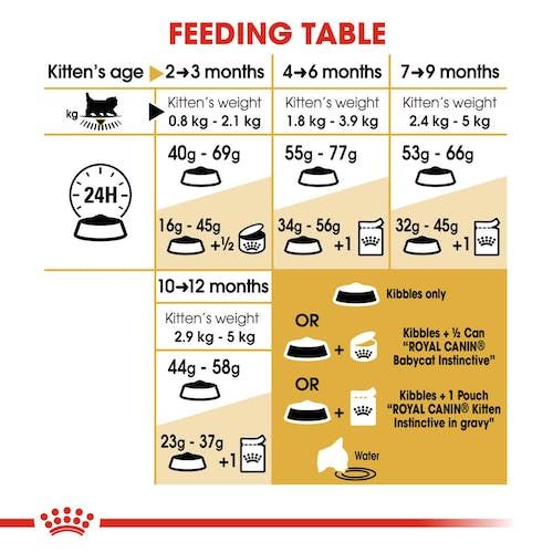 Royal Canin Persian Kitten Dry Cat Food for Persian Kittens