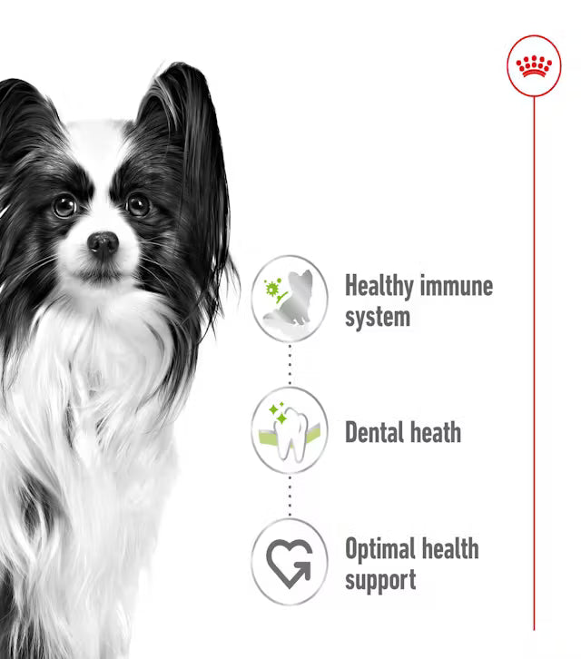 Royal Canin X-Small Adult Dry Dog Food