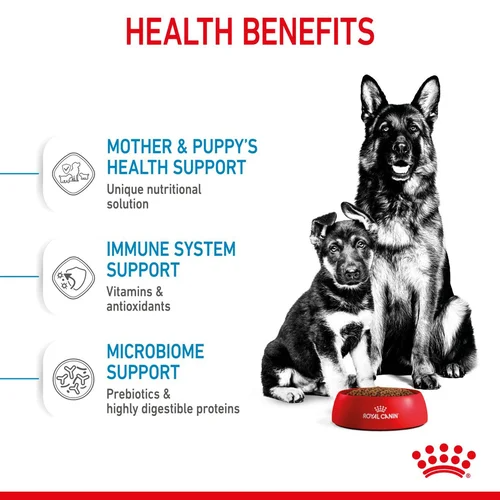Royal Canin Maxi Starter Mother and Babydog Dry Dog Food