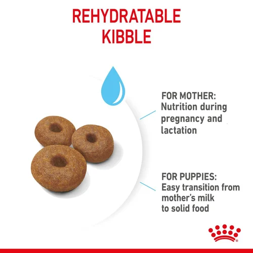 Royal Canin Maxi Starter Mother and Babydog Dry Dog Food